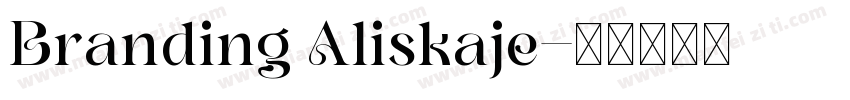 Branding Aliskaje字体转换